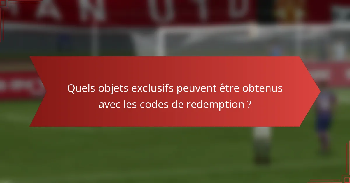 Quels objets exclusifs peuvent être obtenus avec les codes de redemption ?